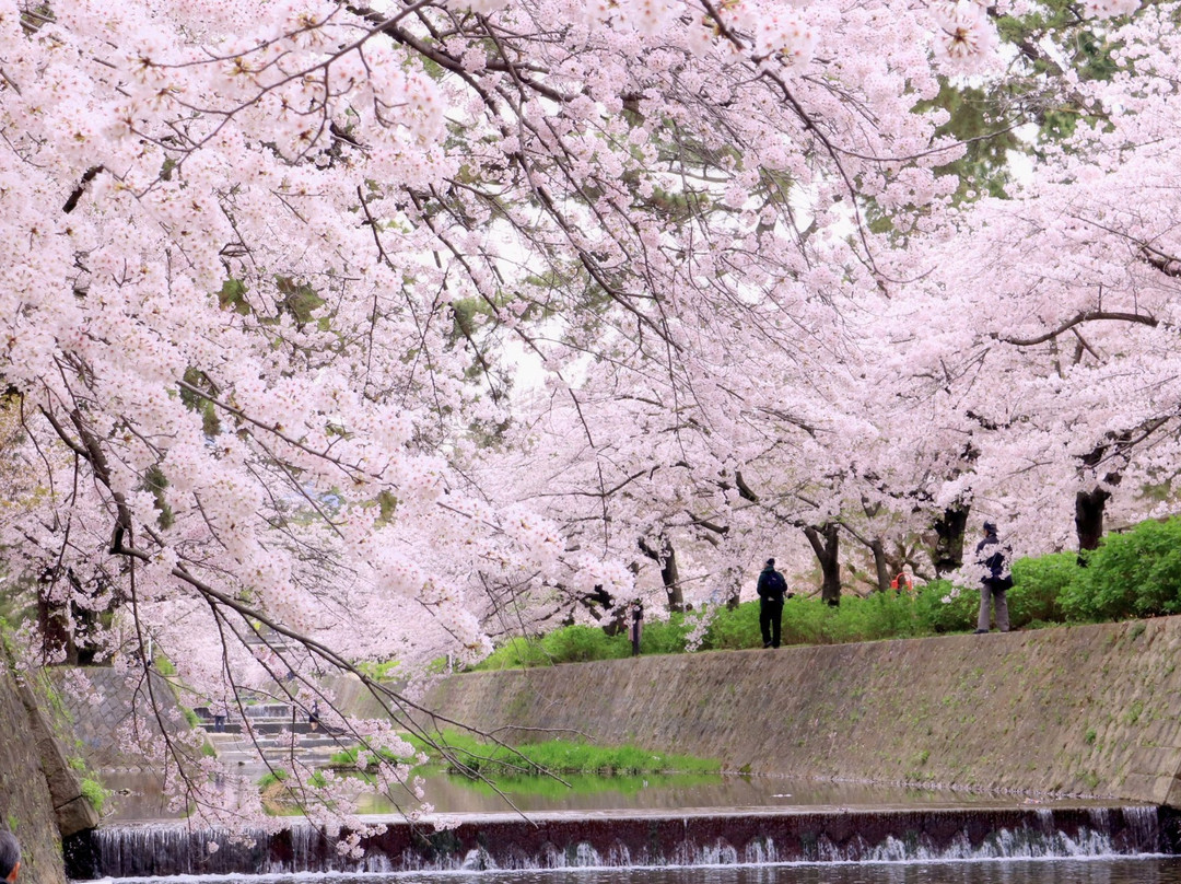 Shukugawa Park-西宫市必去景点