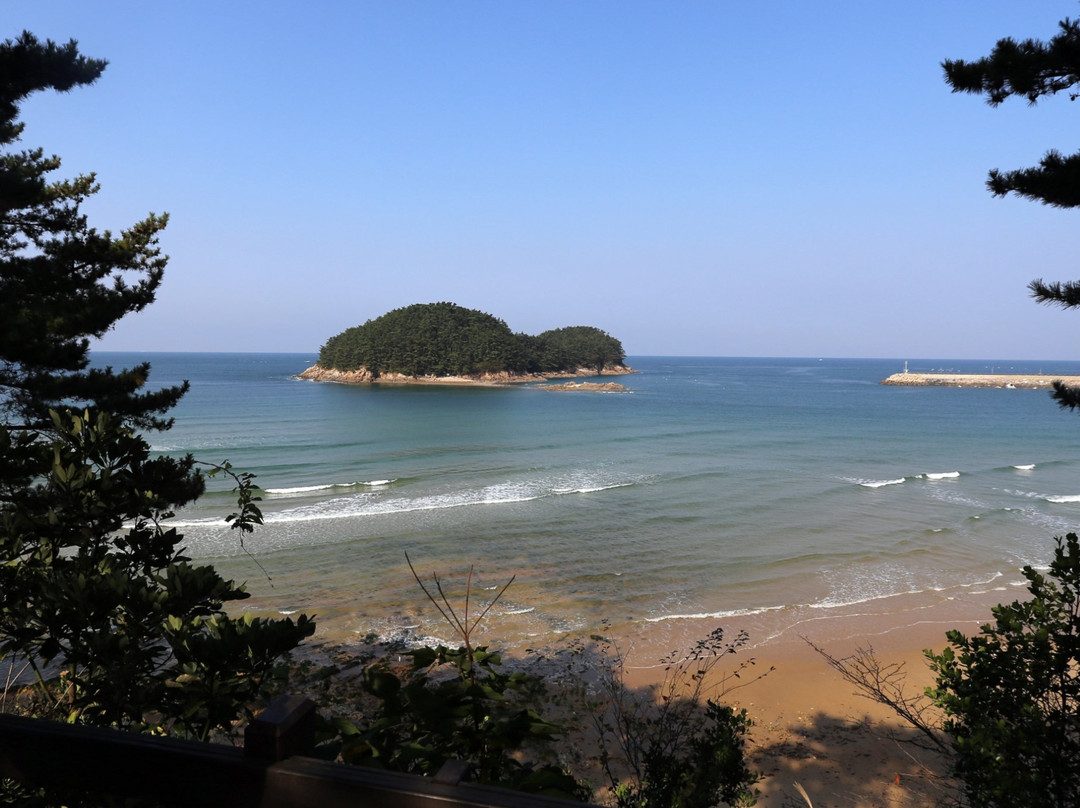 Chollipo Arboretum-泰安郡必去景点