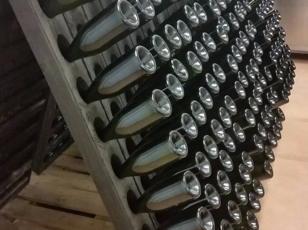 Podere dell'Angelo-里米尼必去景点