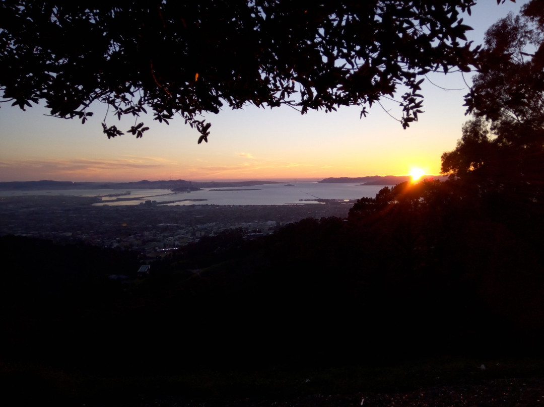 Centennial Drive-伯克利必去景点