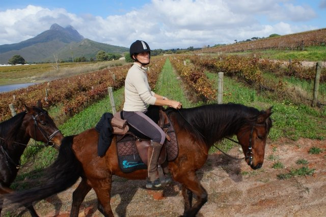 Horse Riding Cape Town景点图片