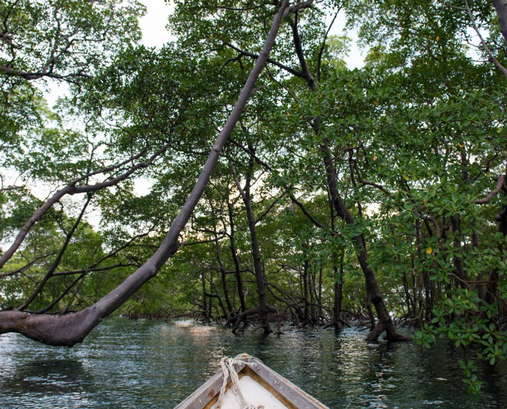 YBA ecoturismo-Garapua必去景点