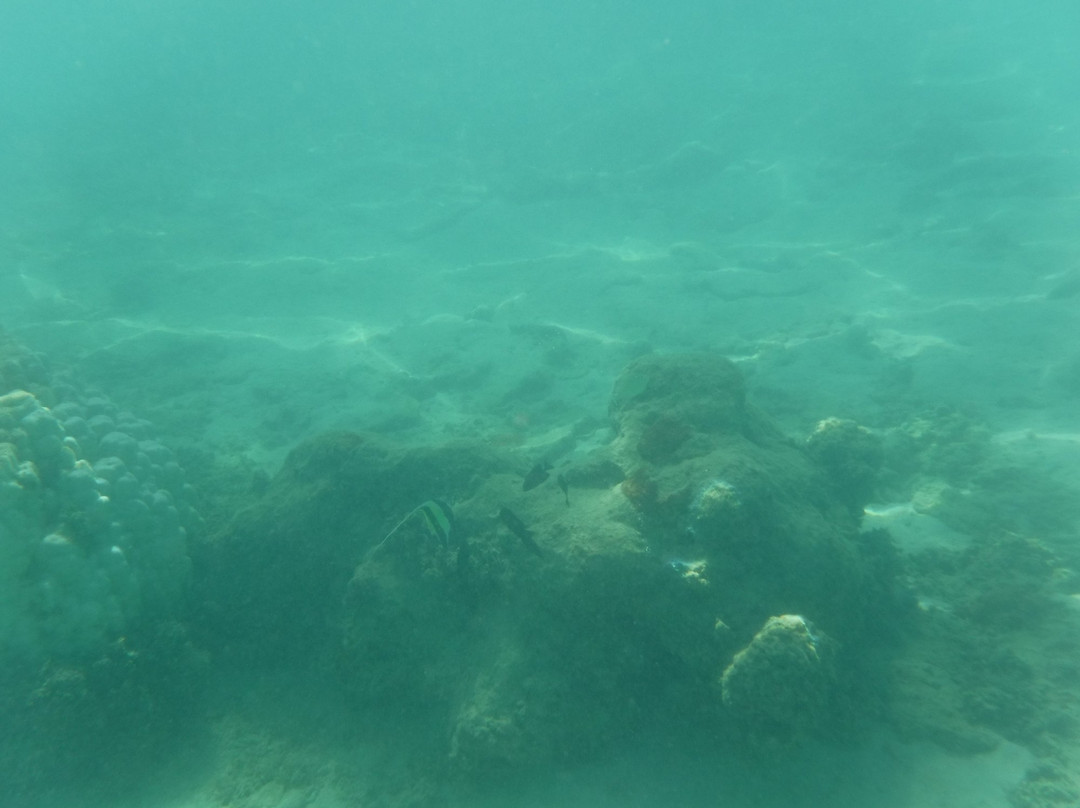 Tikioki Marine Reserve-拉罗汤加必去景点