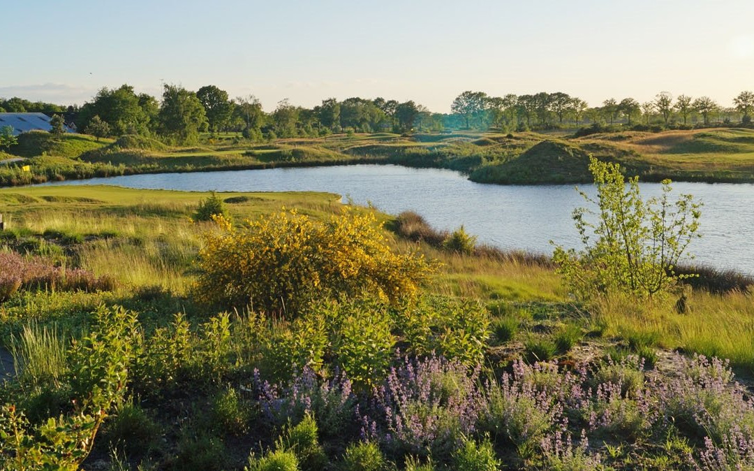 Golfbaan Stippelberg景点图片