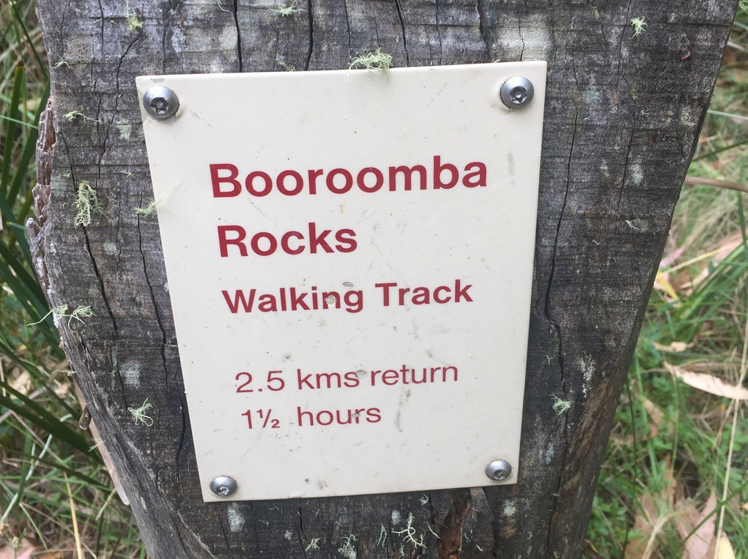 Booroomba Rocks Walk-堪培拉必去景点