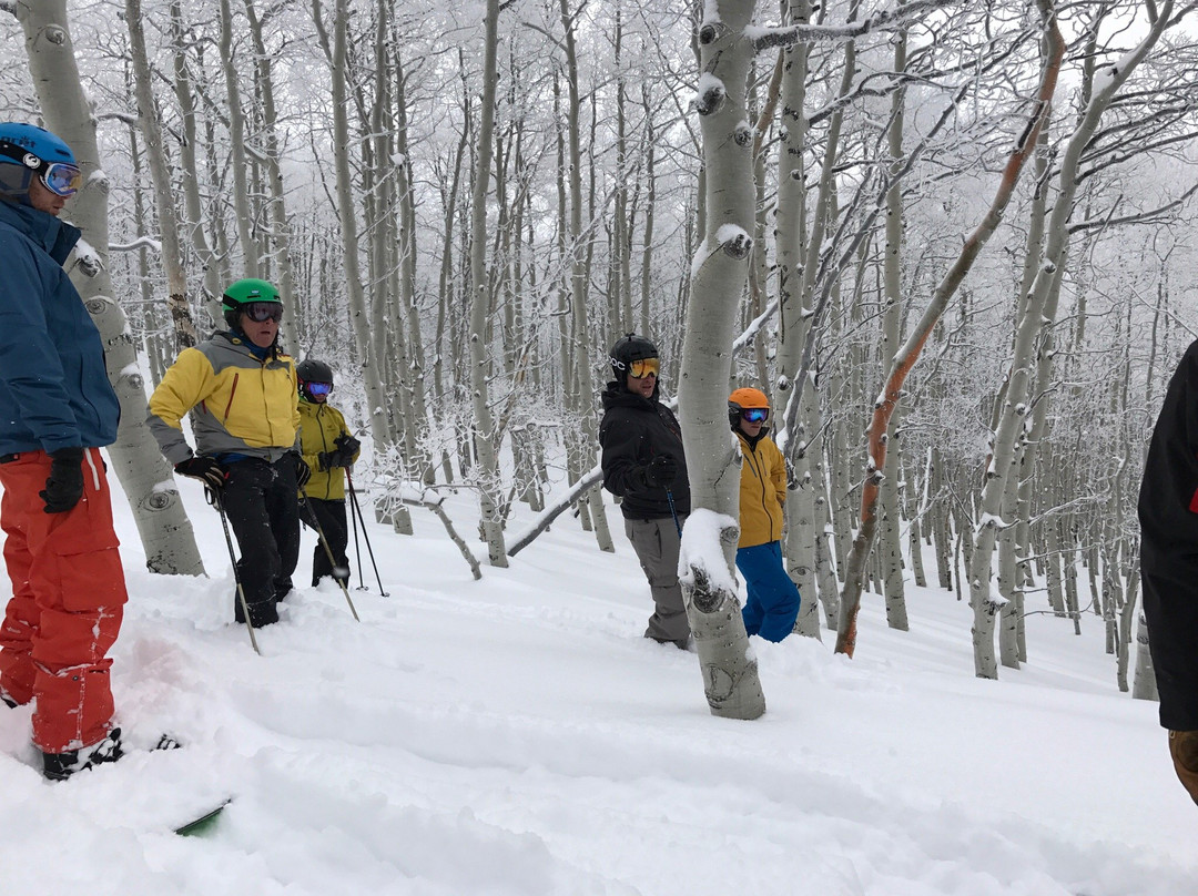 Steamboat Powdercats-斯廷博特斯普林斯必去景点