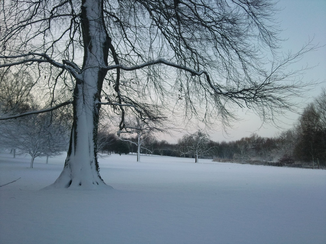 Pegsdon酒店住宿-Hitchin Priory