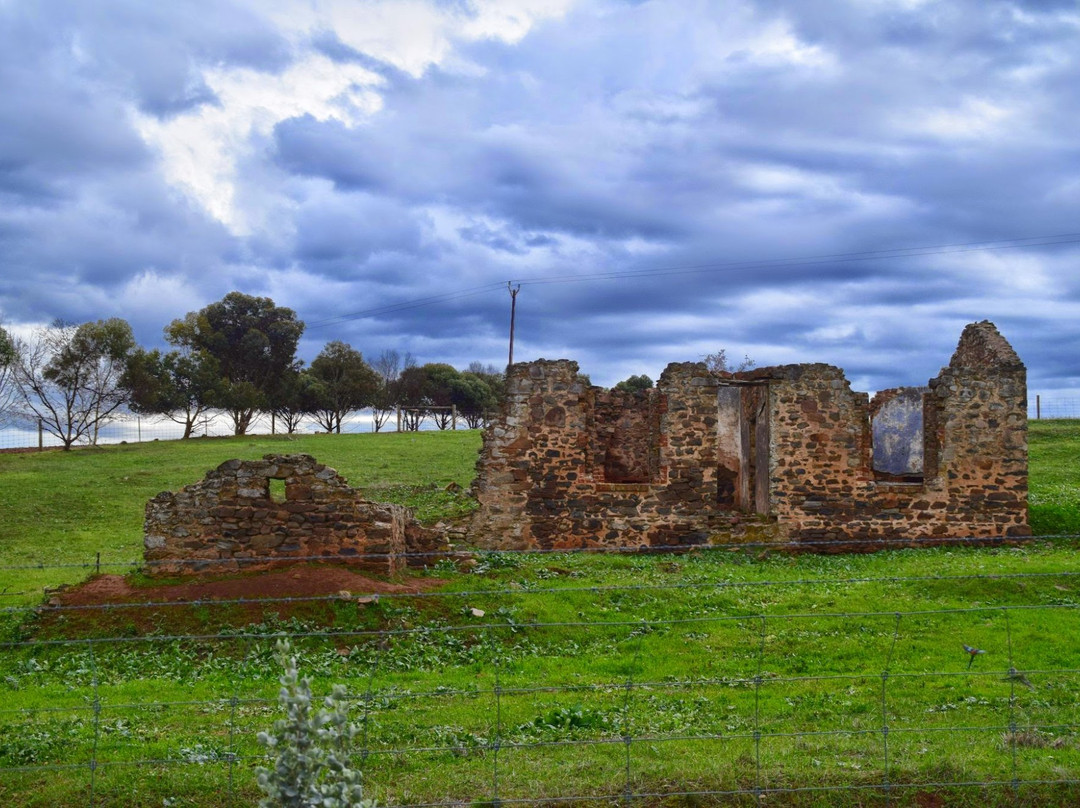 Dutton and St Kitts Historic Drive景点图片