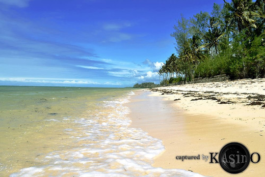 Savannah Cottages主图