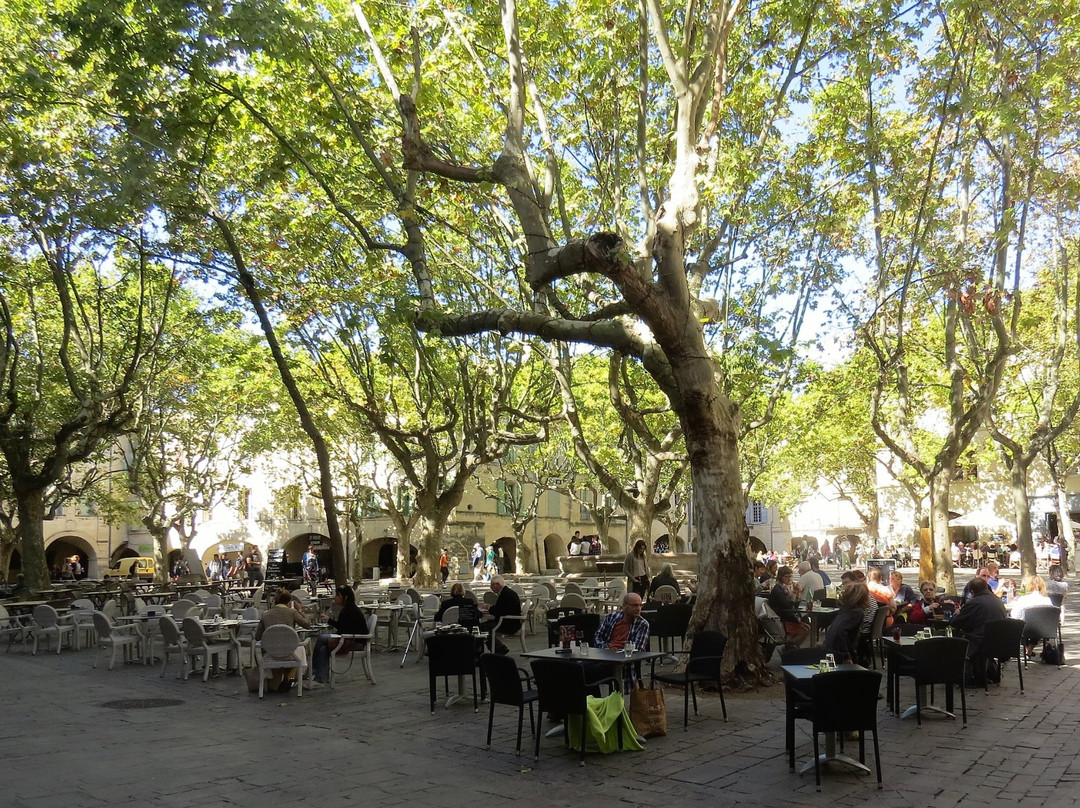 Office de Tourisme Uzès - Destination Pays d'Uzès Pont du Gard-泽斯必去景点