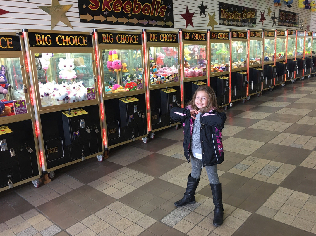 Central Pier Arcade景点图片