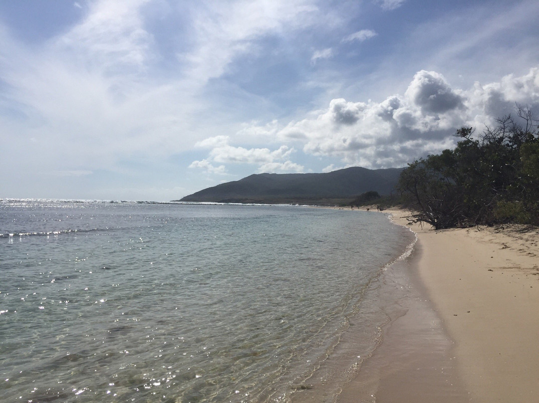 La Caobita Beach-Azua必去景点