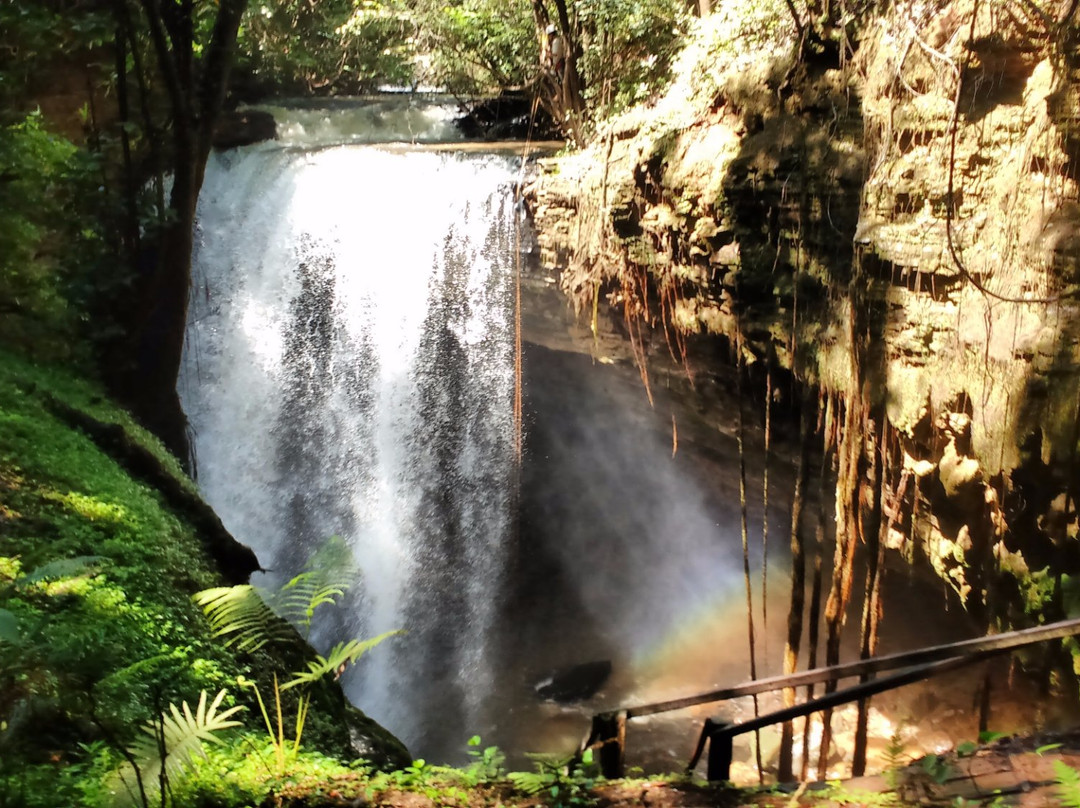 Mambai旅游攻略图片