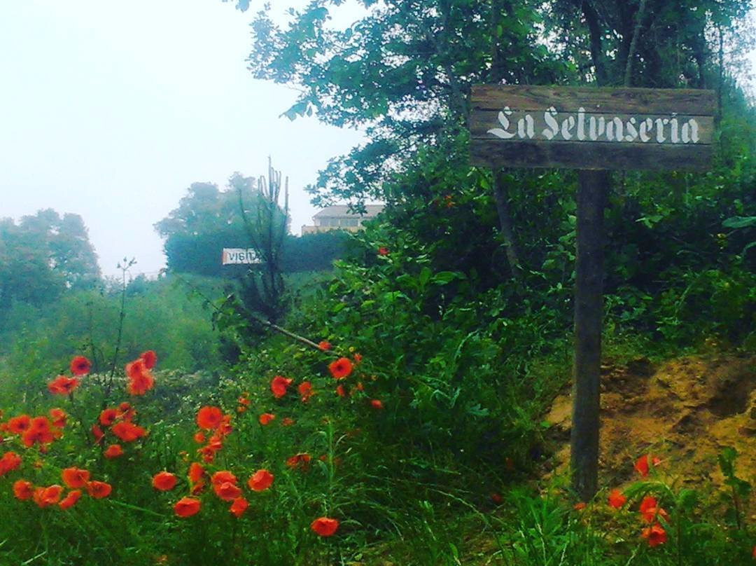 La Selvaseria-Vidreres必去景点