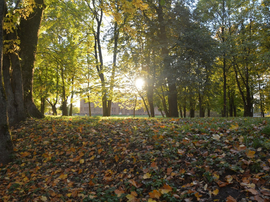 Park Letniy Sad景点图片