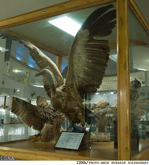 Natural History and Technology Museum of Shiraz-Shiraz必去景点