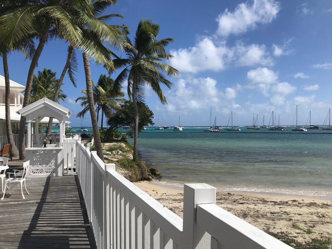 椰子园酒店主图