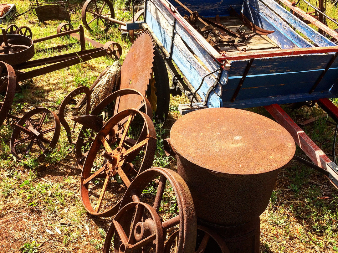 Scullery Days Vintage景点图片