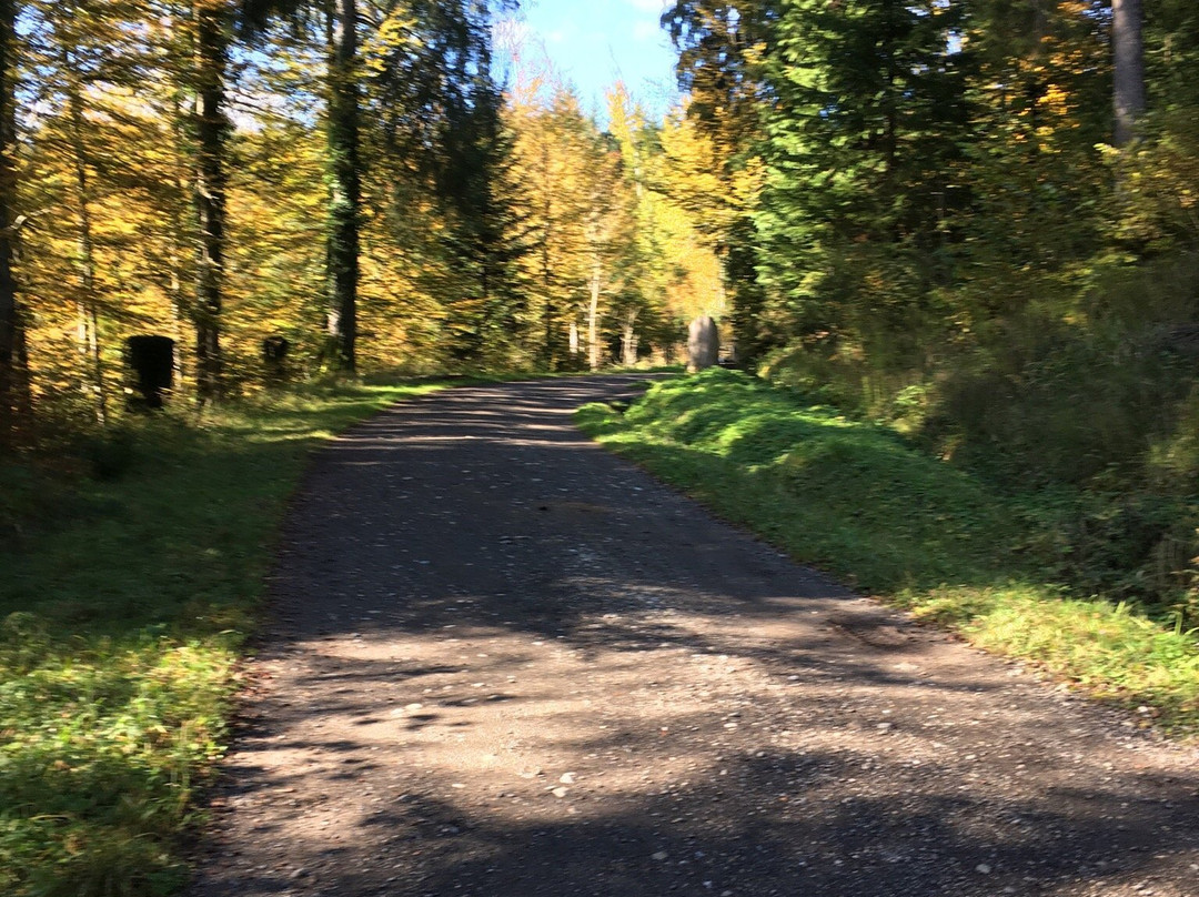 Le Chemin des Fontaines des Bois du Jorat-洛桑必去景点