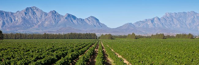 Merwida Wine Cellar-Rawsonville必去景点