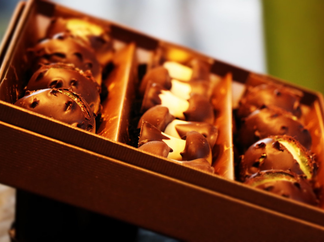 Chocolaterie Bordeaux Maison Darricau depuis 1915-波尔多必去景点