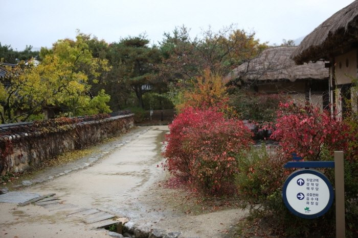 Seonbichon Village-荣州市必去景点