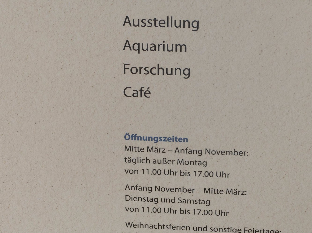 Nationalpark-Haus Wittbulten-斯匹科罗格必去景点