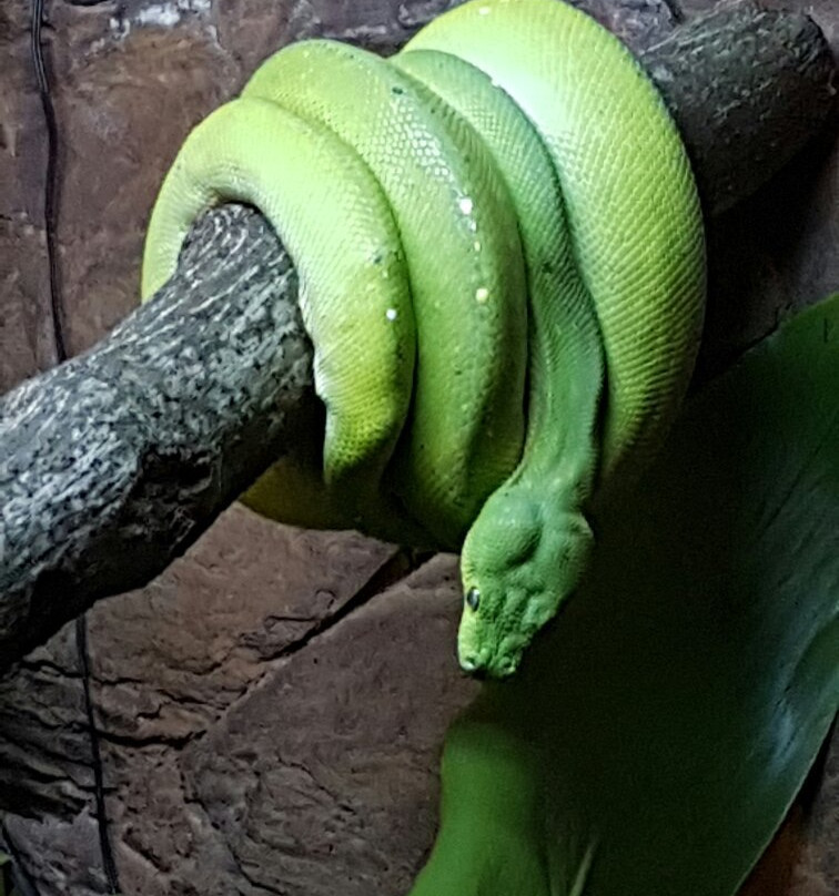 Palm Beach Farmers' Market-棕榈海滩必去景点