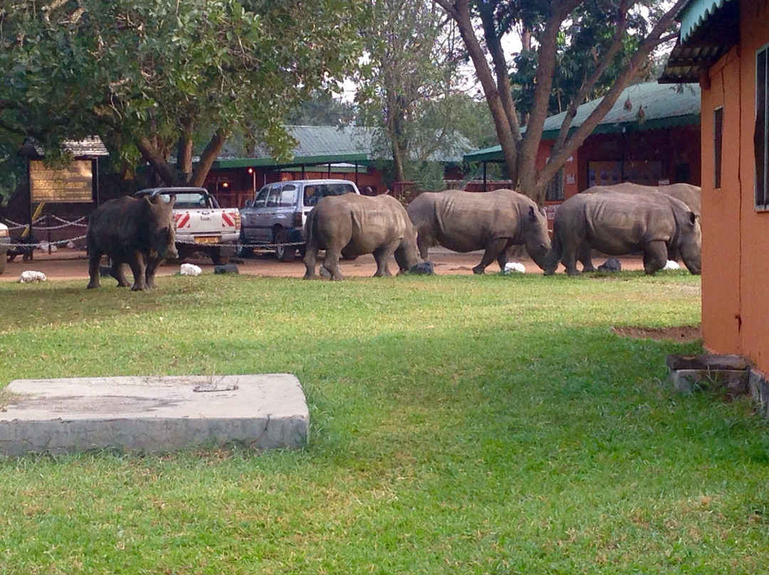 Ziwa Rhino and Wildlife Ranch