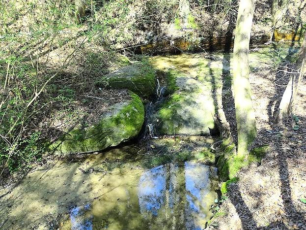 Carroll Howard Johnson Environmental Park-Fuquay-Varina必去景点