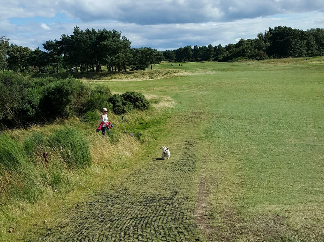Scotscraig Golf Club-Tayport必去景点