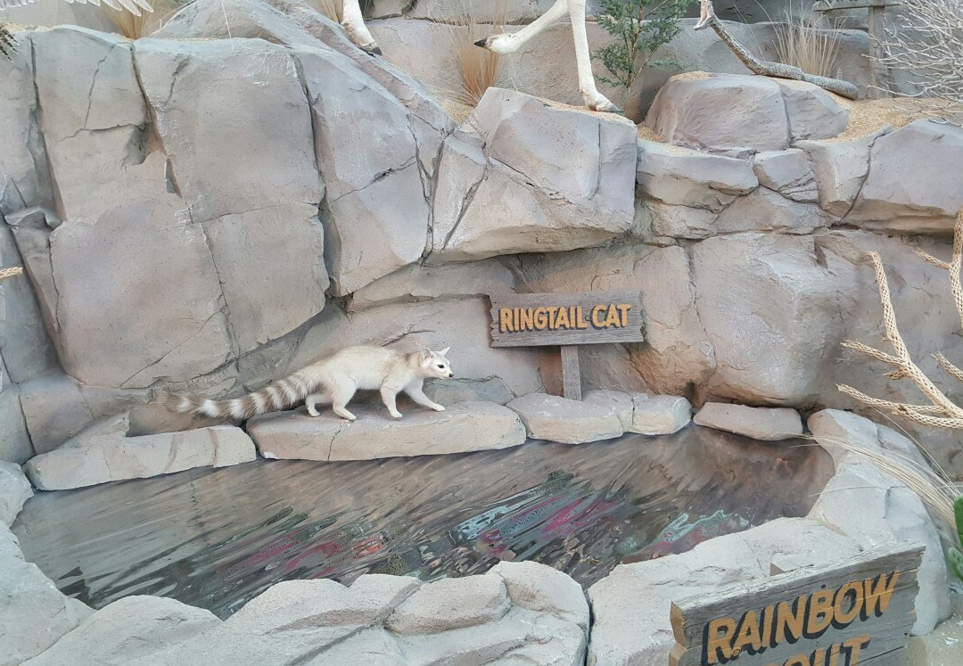 Scheels-斯普林菲尔德必去景点