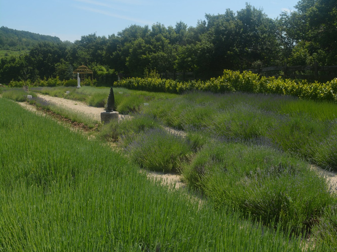 Levendárium Shop-Dorgicse必去景点