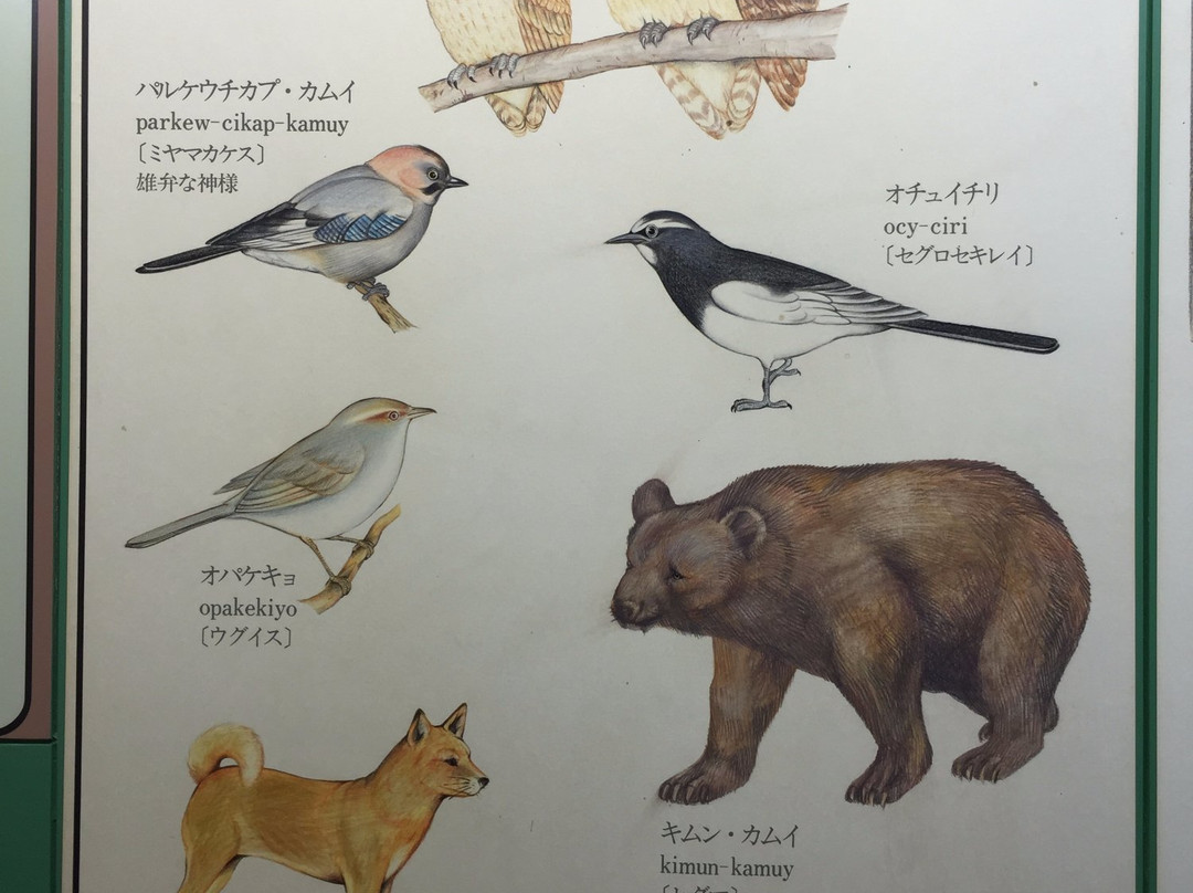 Teshikaga Town Kussharo Kotan Ainu Folklore Museum-弟子屈町必去景点