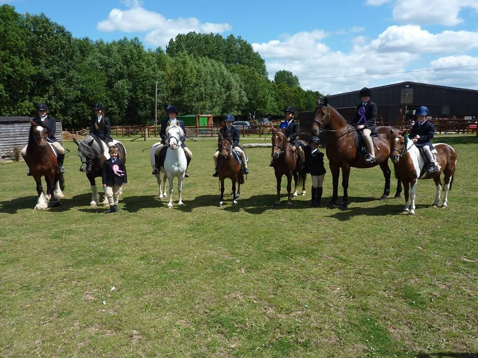 Hobby Horse Riding Centre景点图片