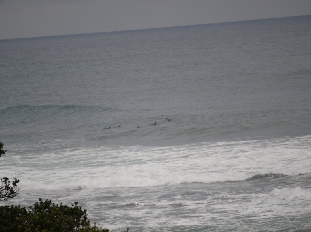 Tahiti Sands