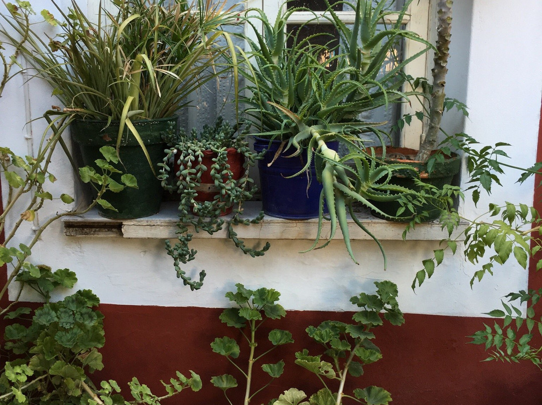 Technis Dromena-尼科西亚必去景点