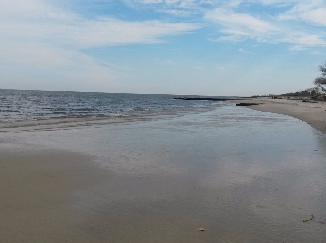 Playa Real de San Carlos-科洛尼亚·德尔萨克拉门托城必去景点