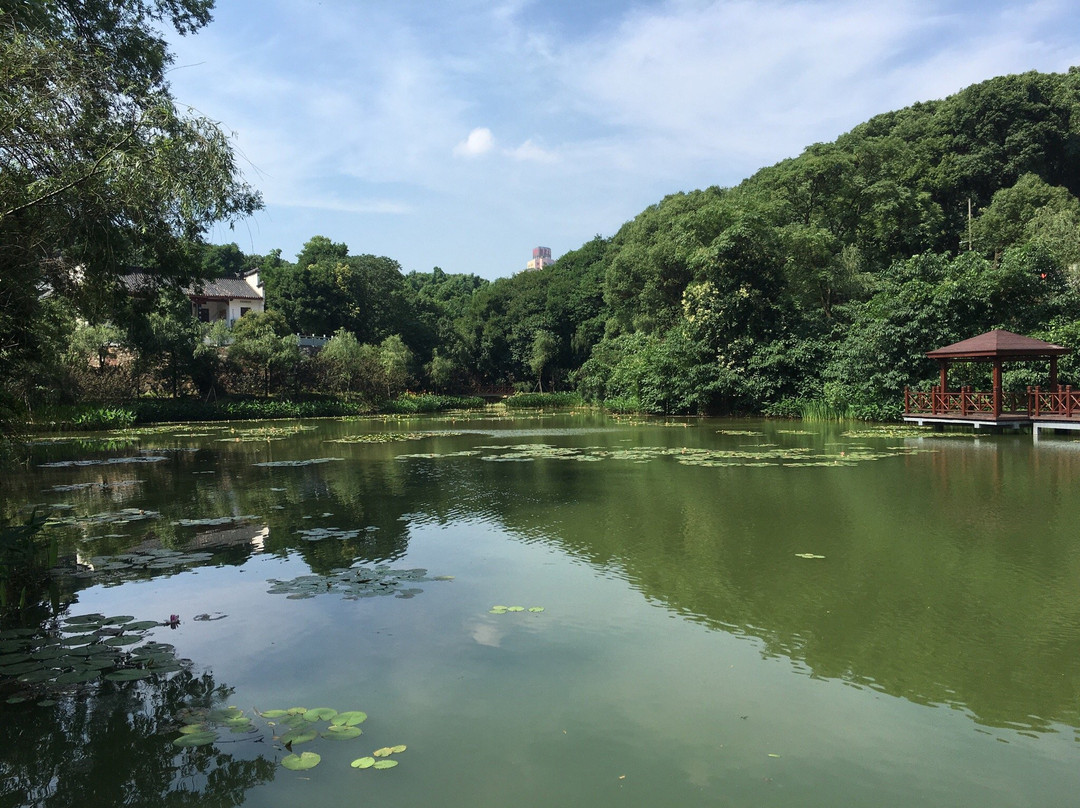 金鄂山公园-岳阳市必去景点