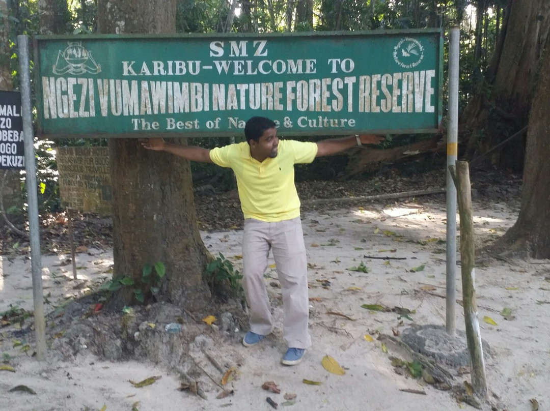 Ngezi Forest Reserve-奔巴岛必去景点