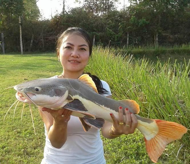Nong Bua Lam Phu Fishing Park景点图片