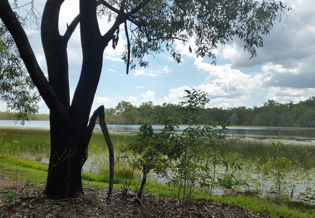Manton Dam-达尔文市必去景点