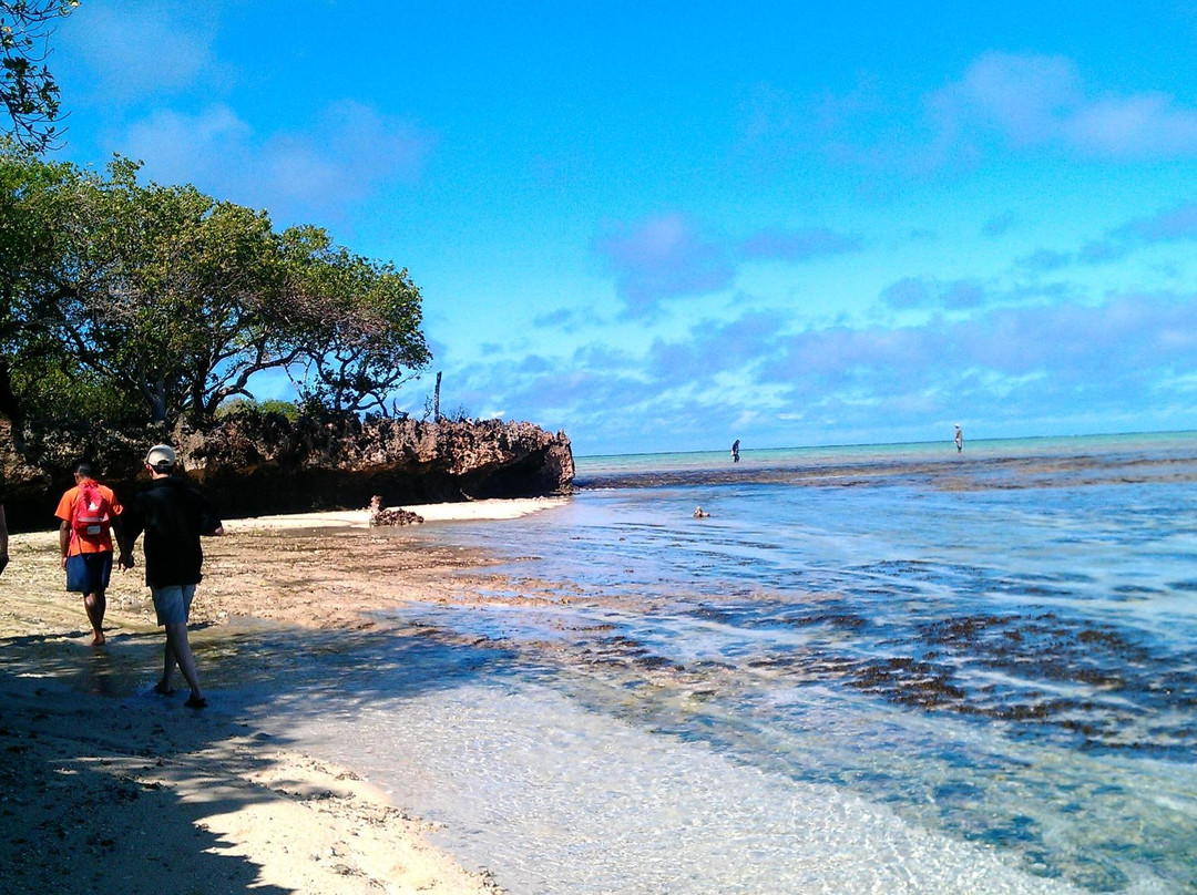 Navo Cave Tour-辛加东卡必去景点
