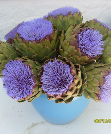 Enginarre餐厅图片