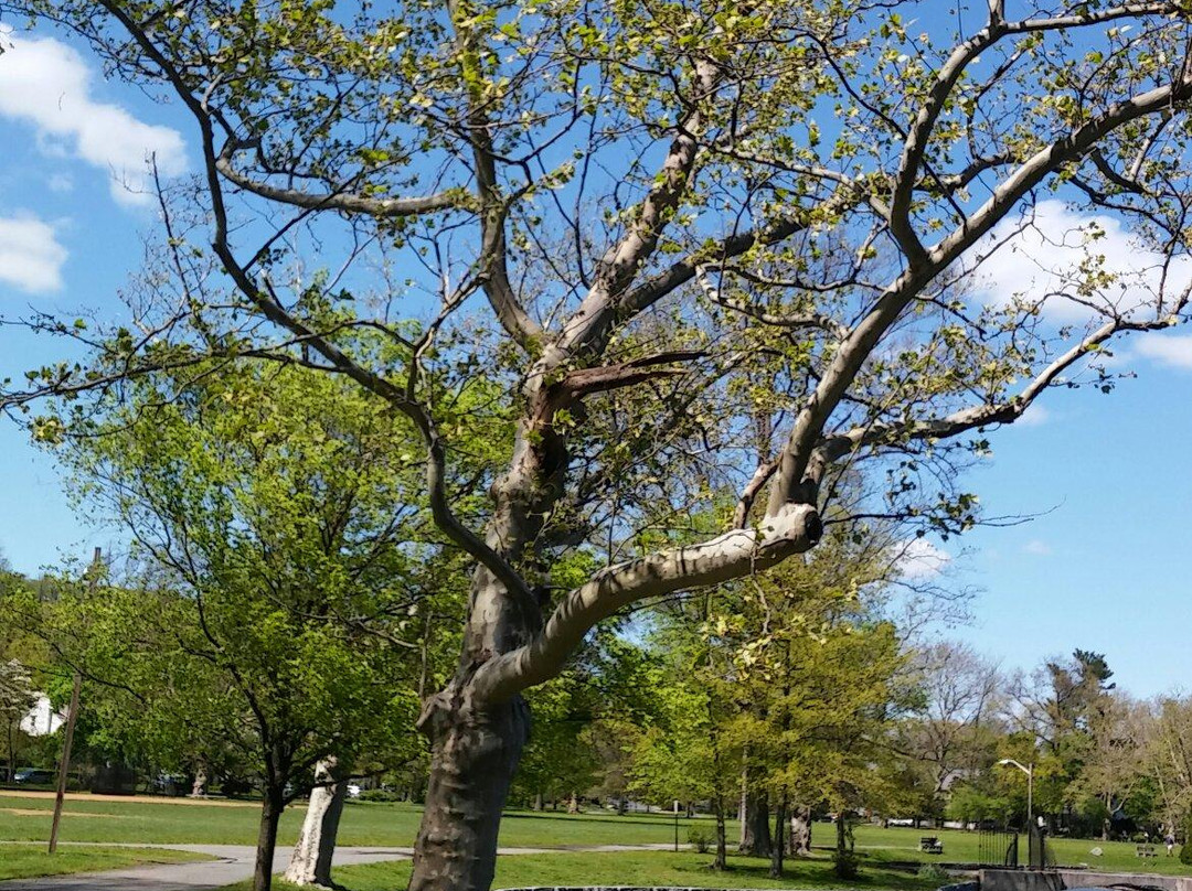 Edgemont Memorial Park景点图片