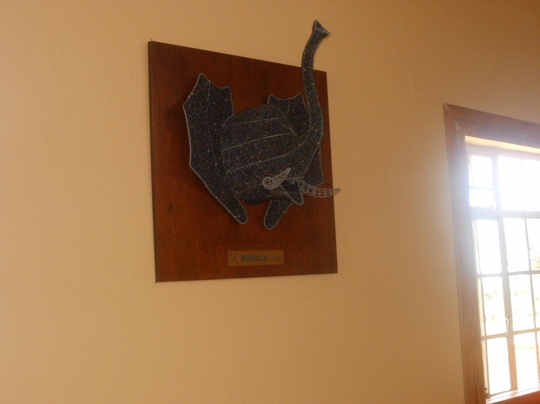 Kwantu Elephant Sanctuary-格拉罕镇必去景点