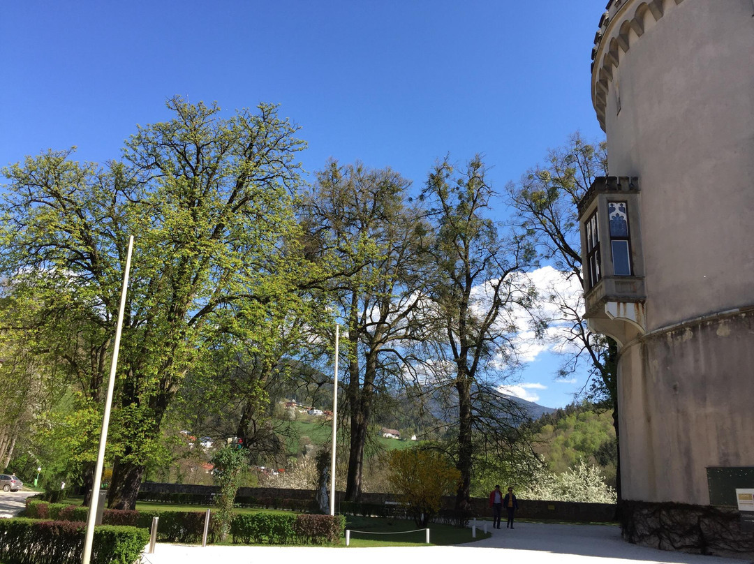 Schloss Wolfsberg景点图片