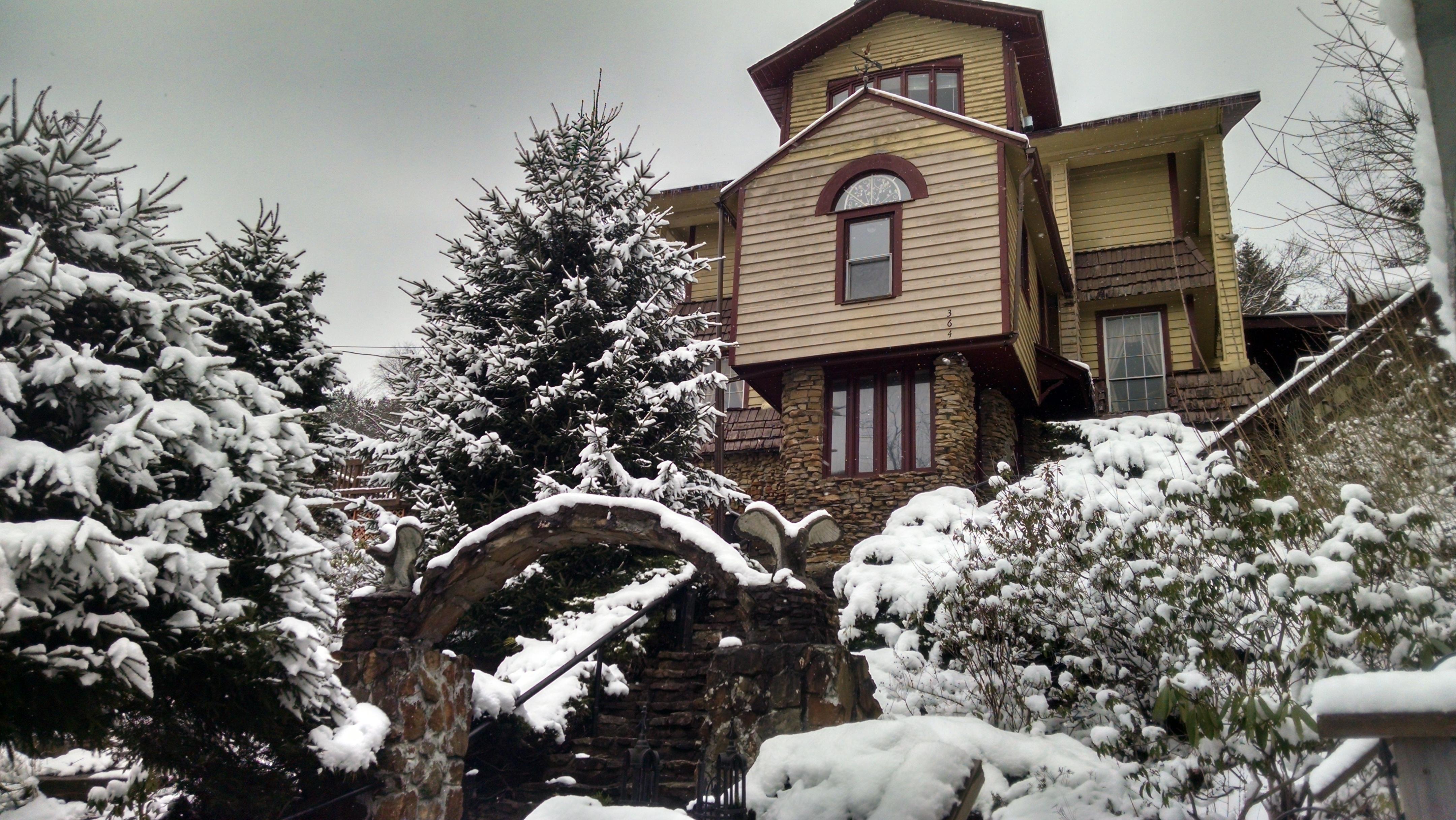 Mountain Primrose Bed and Breakfast-官方