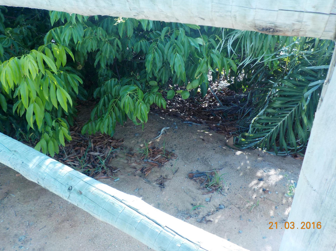 Pontal Do Ipiranga Beach景点图片