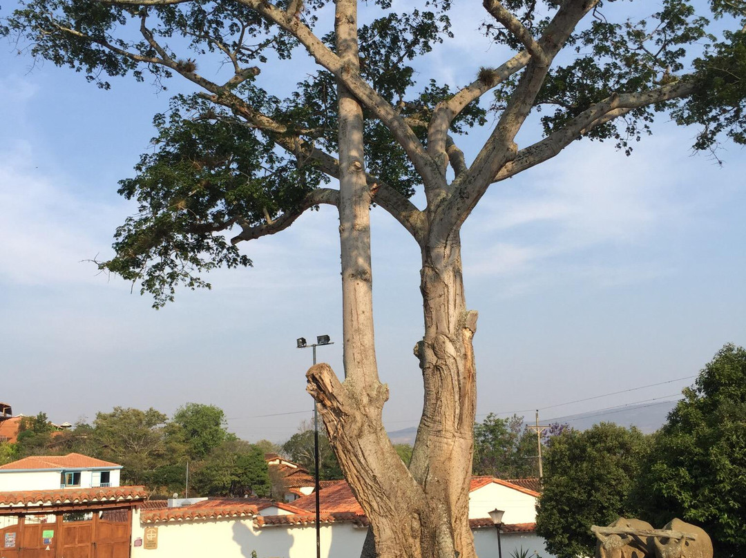 Monumento al Buey-巴里查拉必去景点